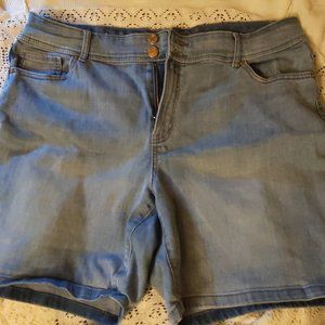 Size 20 Denim Shorts Curvy DC Shorts Denim